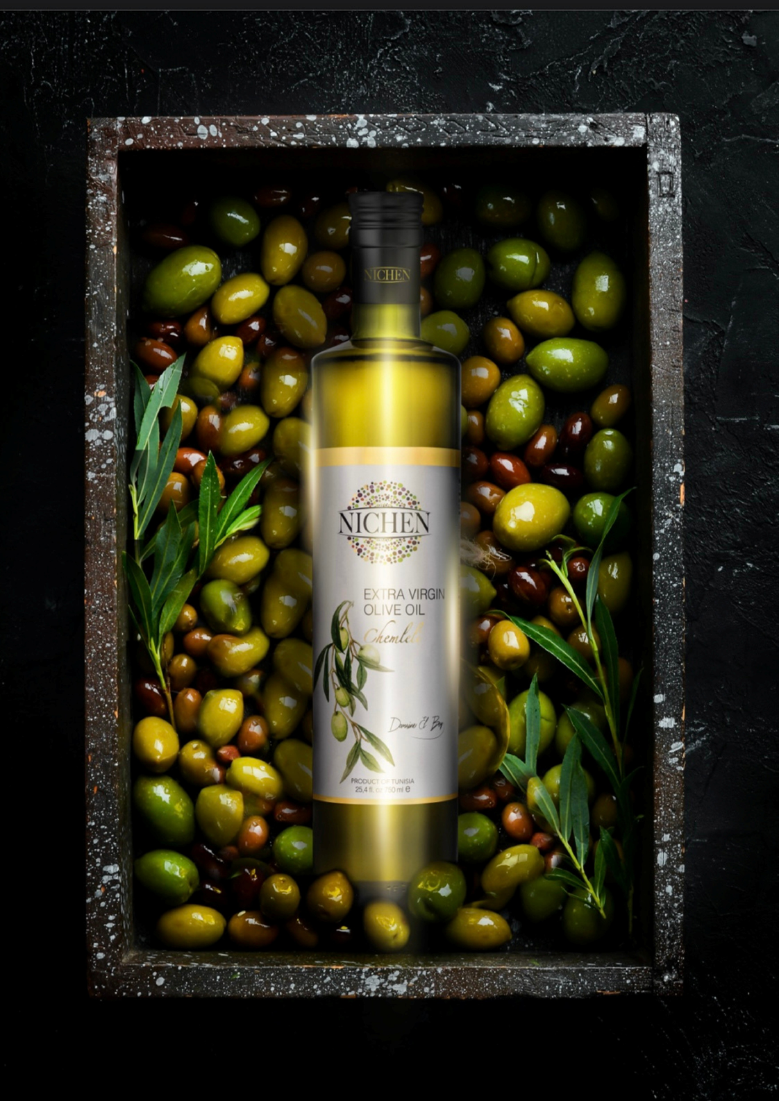 Olive Groves